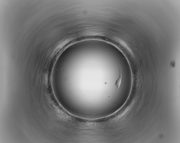 X0000093770777200710231311