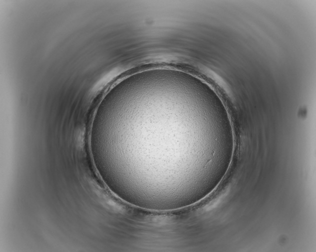 X0000093770778200710231311