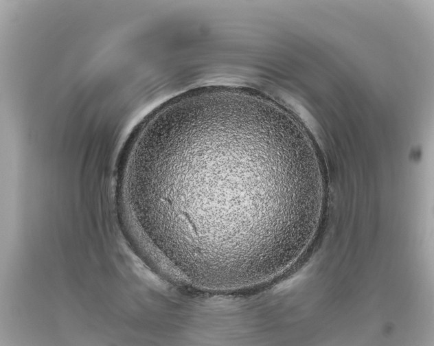 X0000093770779200710231311