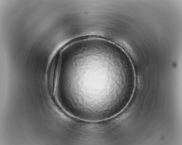 X0000093770780200710231311