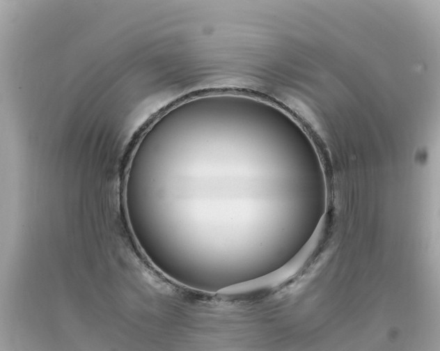 X0000093770781200710231311