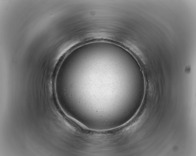 X0000093770782200710231311