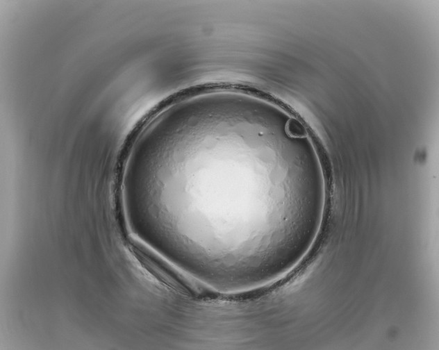 X0000093770783200710231311