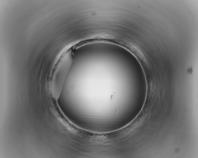 X0000093770784200710231311