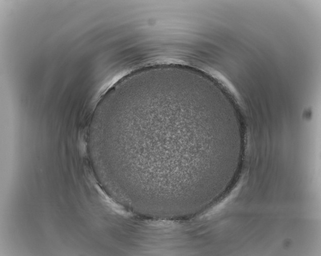 X0000093770785200710231311