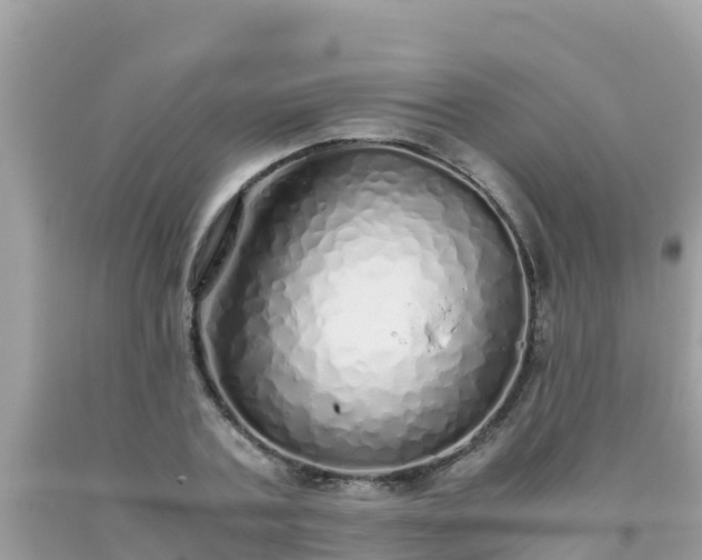 X0000093770787200710231311