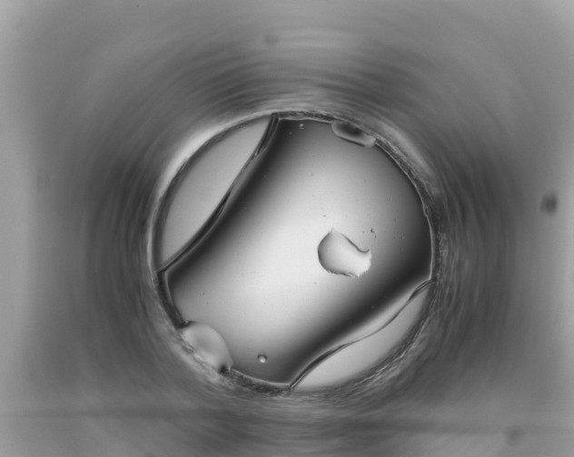 X0000093770788200710231311