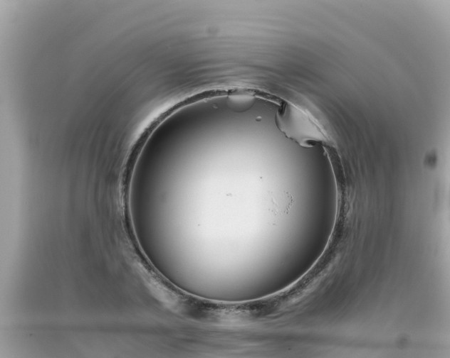 X0000093770789200710231311