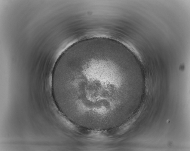 X0000093770790200710231311