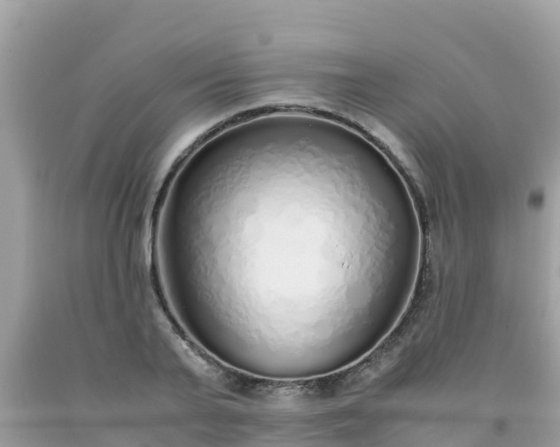 X0000093770791200710231311