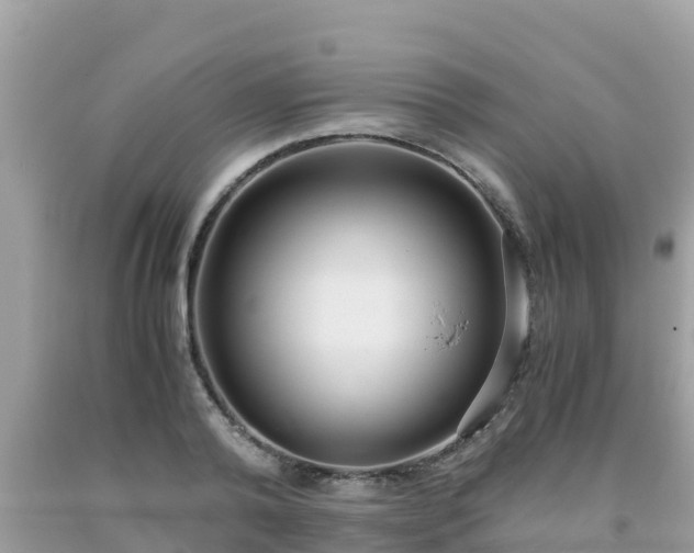 X0000093770792200710231311