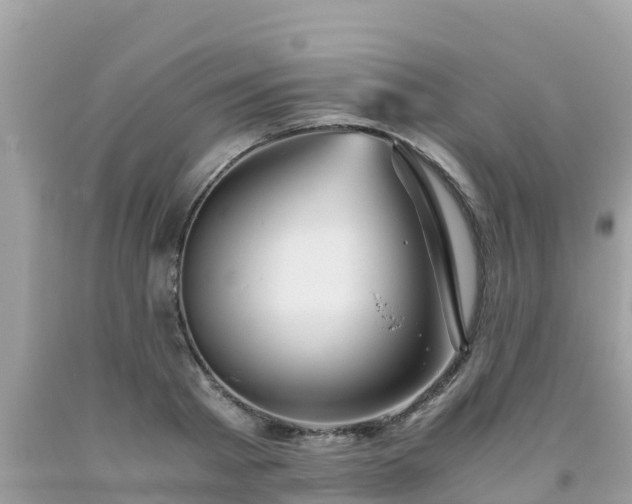 X0000093770793200710231311