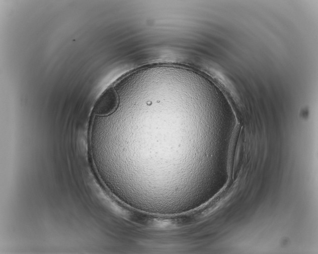 X0000093770794200710231311