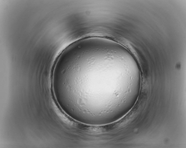 X0000093770795200710231311