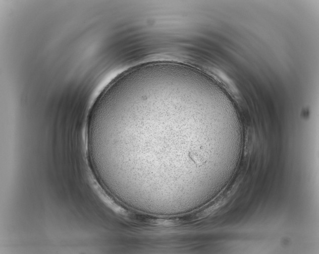 X0000093770796200710231311