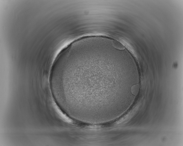 X0000093770797200710231311