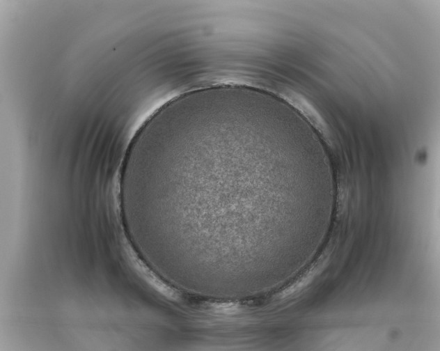 X0000093770798200710231311