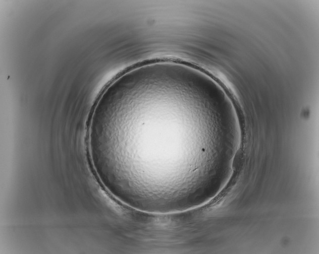 X0000093770799200710231311