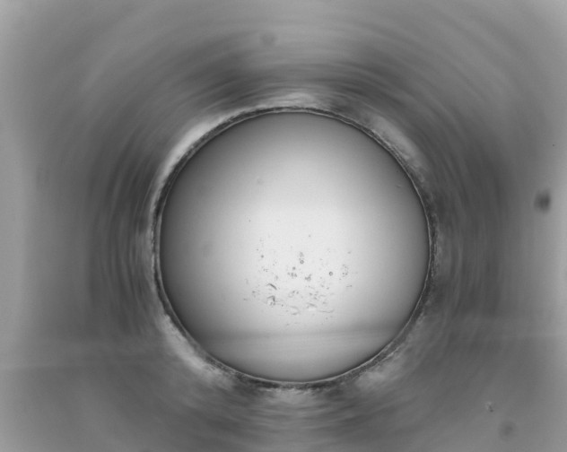 X0000093770800200710231311