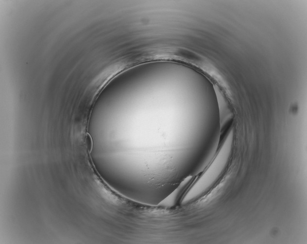 X0000093770801200710231311