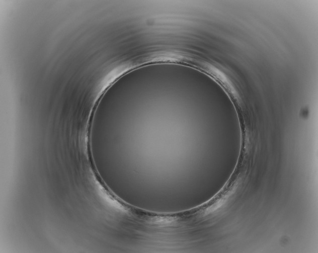 X0000093770802200710231311