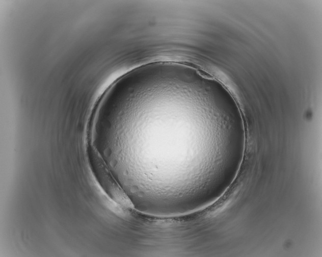 X0000093770803200710231311