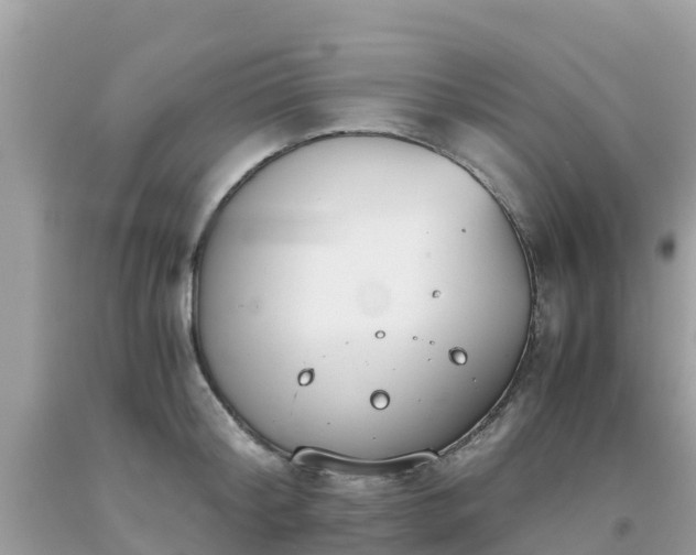 X0000093770804200710231311