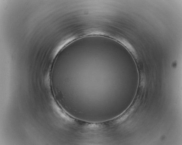 X0000093770806200710231311