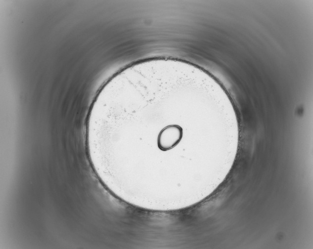 X0000093770807200710231311