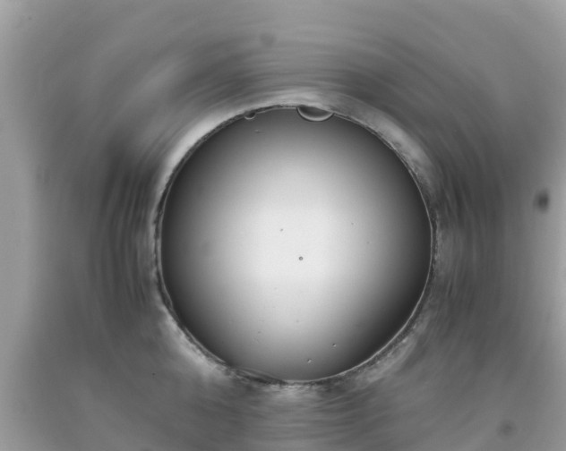 X0000093770808200710231311