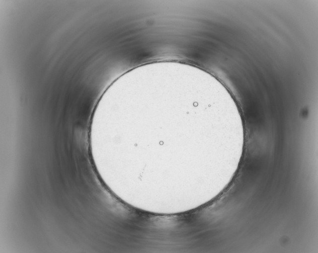 X0000093770810200710231311