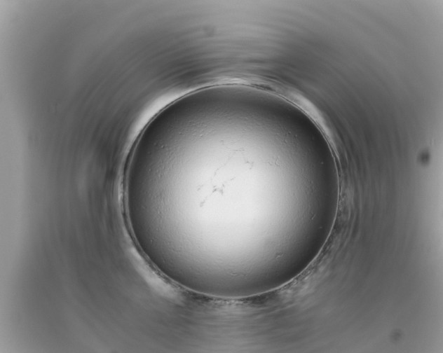 X0000093770811200710231311