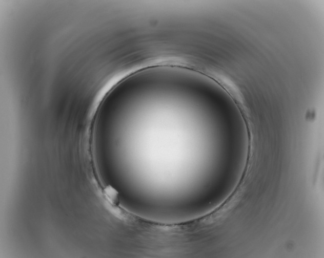 X0000093770816200710231311