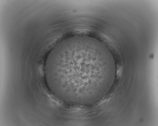 X0000093770819200710231310