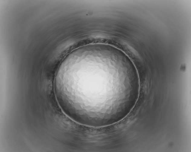 X0000093770821200710231310