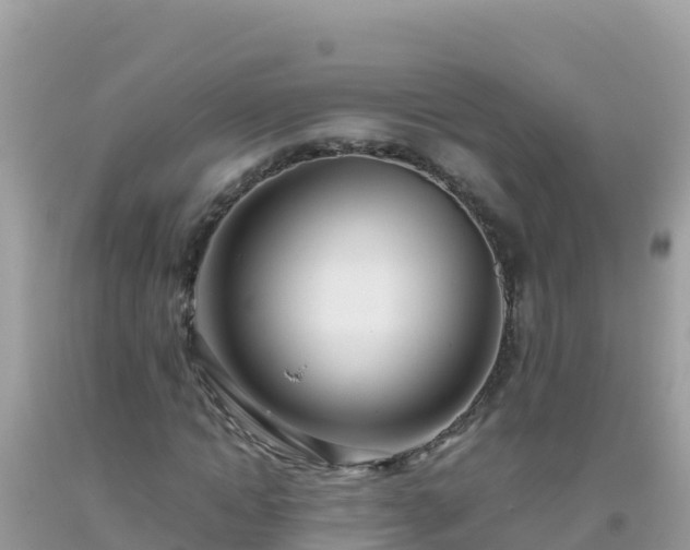 X0000093770822200710231310