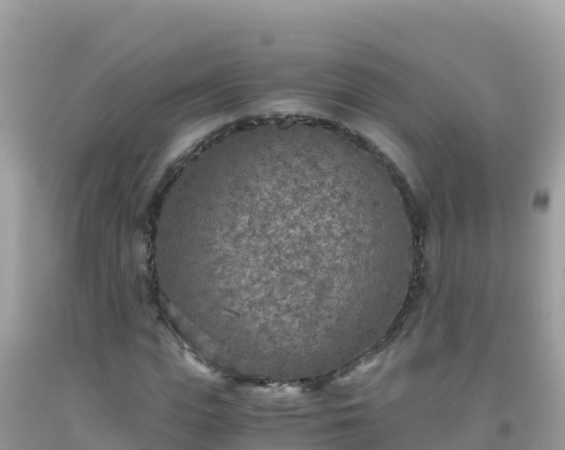 X0000093770823200710231310