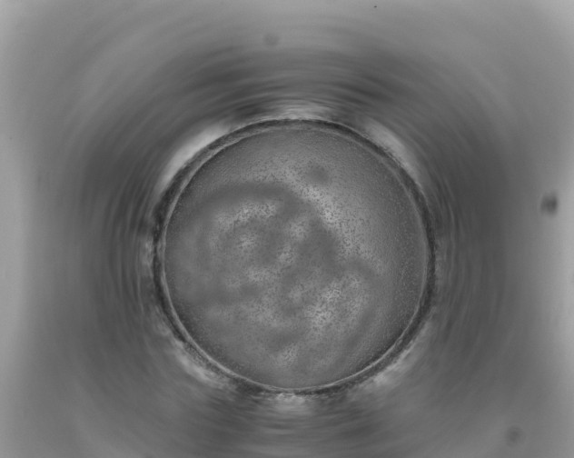 X0000093770827200710231310