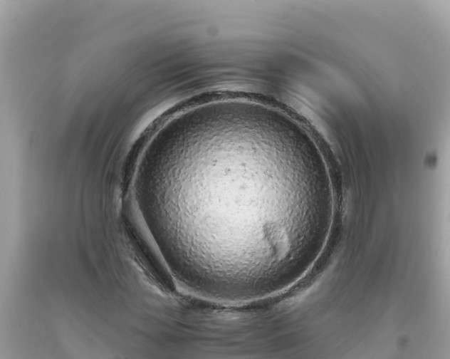 X0000093770829200710231311