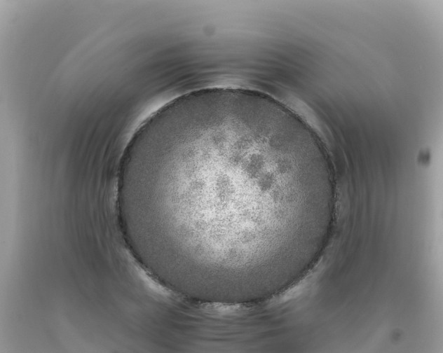 X0000093770831200710231311