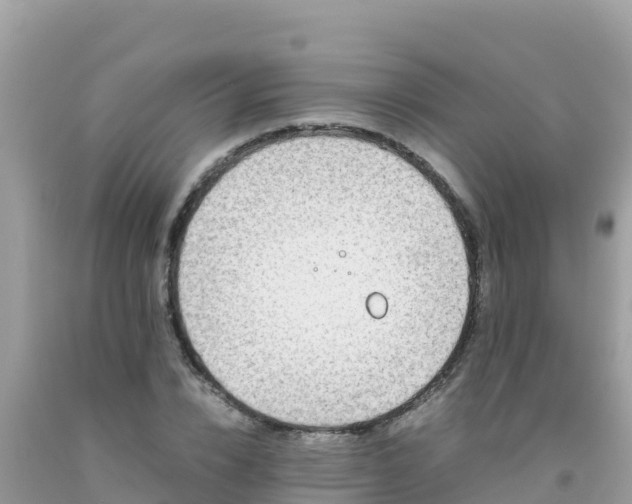 X0000093770832200710231311