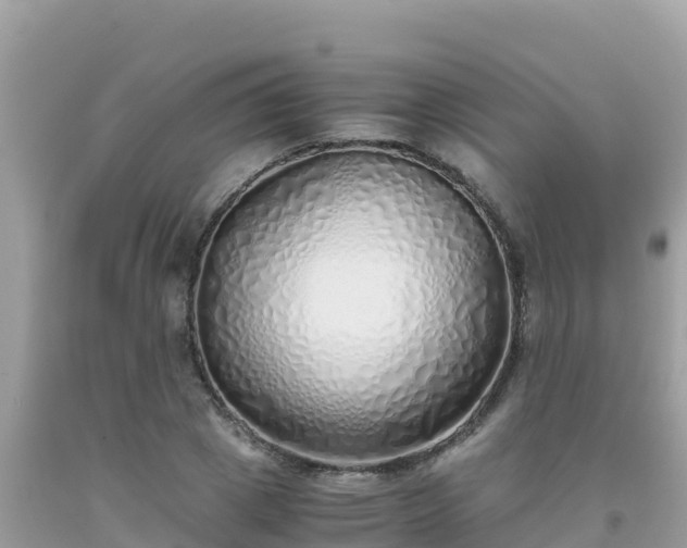 X0000093770833200710231311