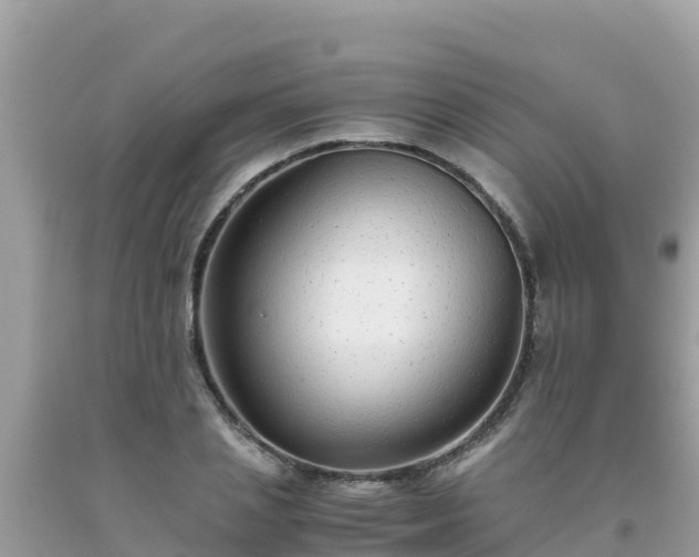 X0000093770837200710231311