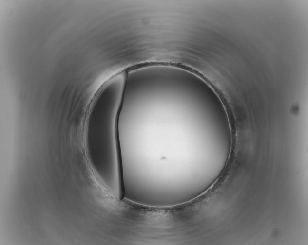 X0000093770838200710231311