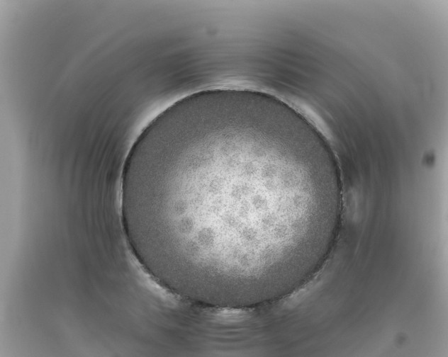 X0000093770839200710231311