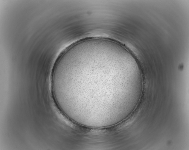 X0000093770840200710231311