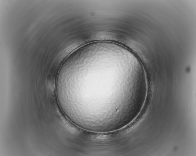 X0000093770841200710231311