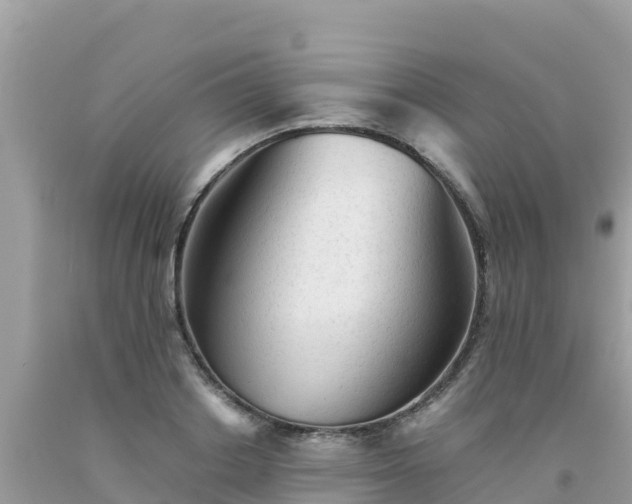 X0000093770842200710231311