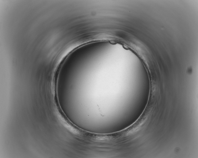 X0000093770843200710231311