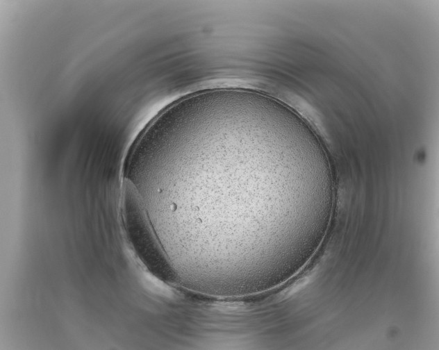 X0000093770844200710231311